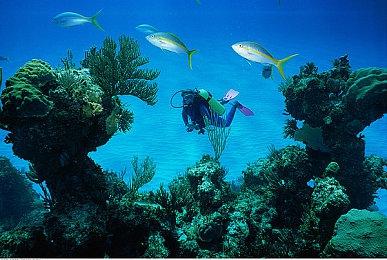 《边狱巴士公司》延期至2月发售 Project Moon新作